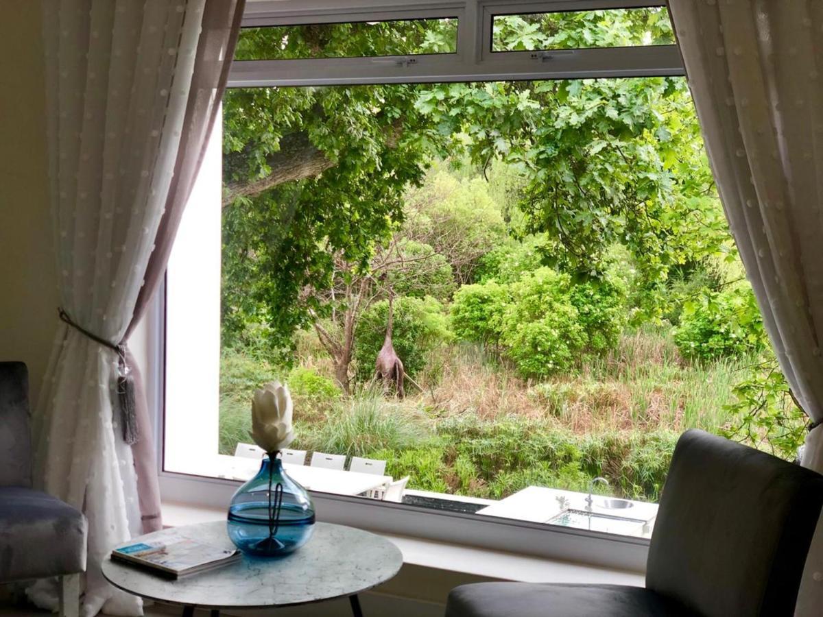 Badgemore Villa Guesthouse Cape Town Luaran gambar
